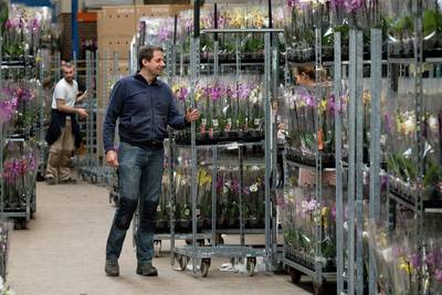 Altena wil verder met zonnepark Andel, plan zou aan voorwaarden voldoen. Nog wel huiswerk voor onder