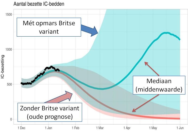 Aantal bezette ic-bedden, met en zonder opmars Britse variant. Beeld RIVM