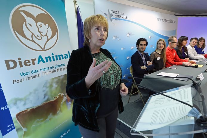 De nieuwe partij 'Dier Animal' werd vandaag voorgesteld in Brussel.