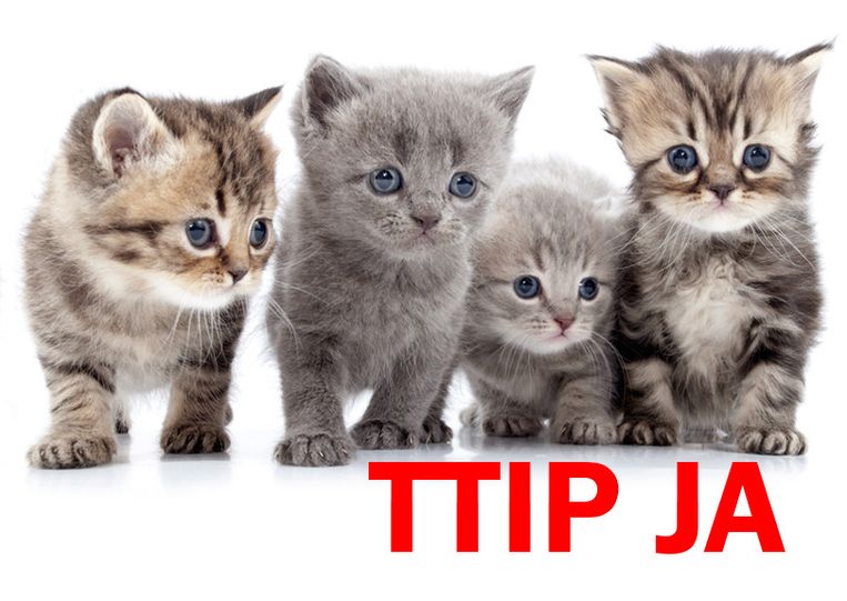 EU laat TTIP verdedigen kittens | De Volkskrant