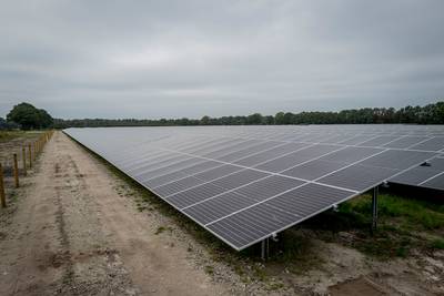 Bouwer zonnepark in Wintelre kan verder met voorbereidingen