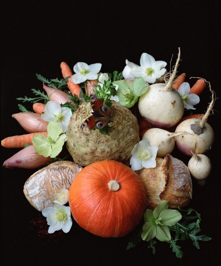Beeld uit Venusian Kitchen. Beeld Elsbeth Tijssen