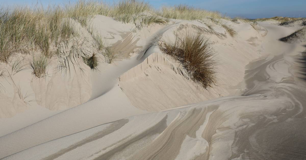 MIJN FOTO | De natuur op zijn mooist, daar komt geen mensenhand aan te pas