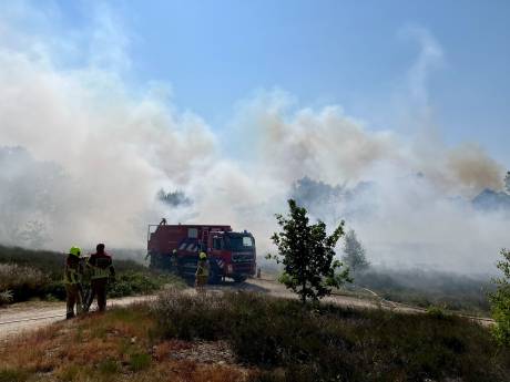 Brandweer massaal aanwezig bij bosbrand, kijkers worden weggestuurd 