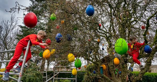 Snollebollekes in de paaseierboom; hier wordt heel Hedel vrolijk van - BD.nl