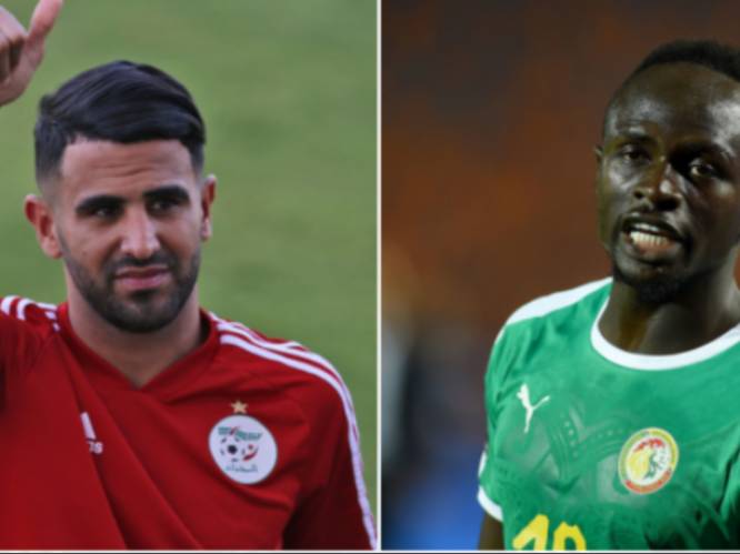 Kenners Leekens en Saintfiet analyseren finalisten Africa Cup: "De sterren hebben de sleutel in handen”