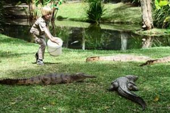 Robert Irwin voedert als 8-jarige de krokodillen in de dierentuin van het Australische Beerwah, waar zijn vader Steve eigenaar van was.
