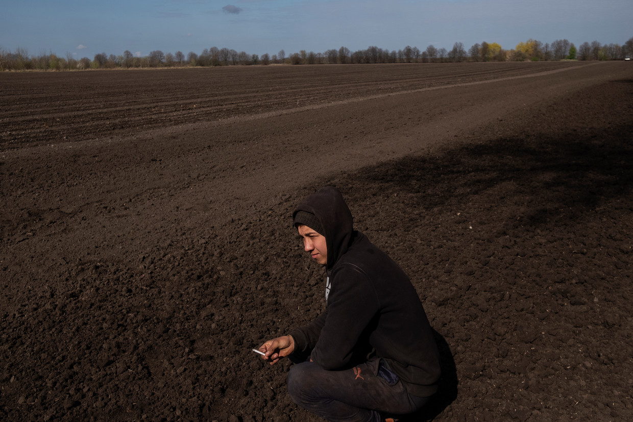 Maxim, een 18-jarige arbeider op de Soeslov-boerderij. Beeld Giulio Piscitelli voor de Volkskrant