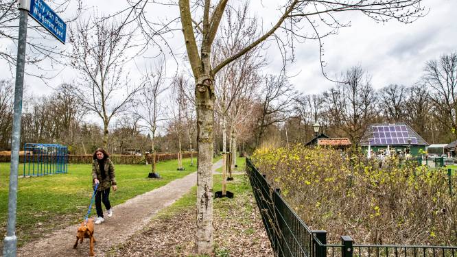 Vermaak en educatie voor iedereen in gebied Kleine Meer