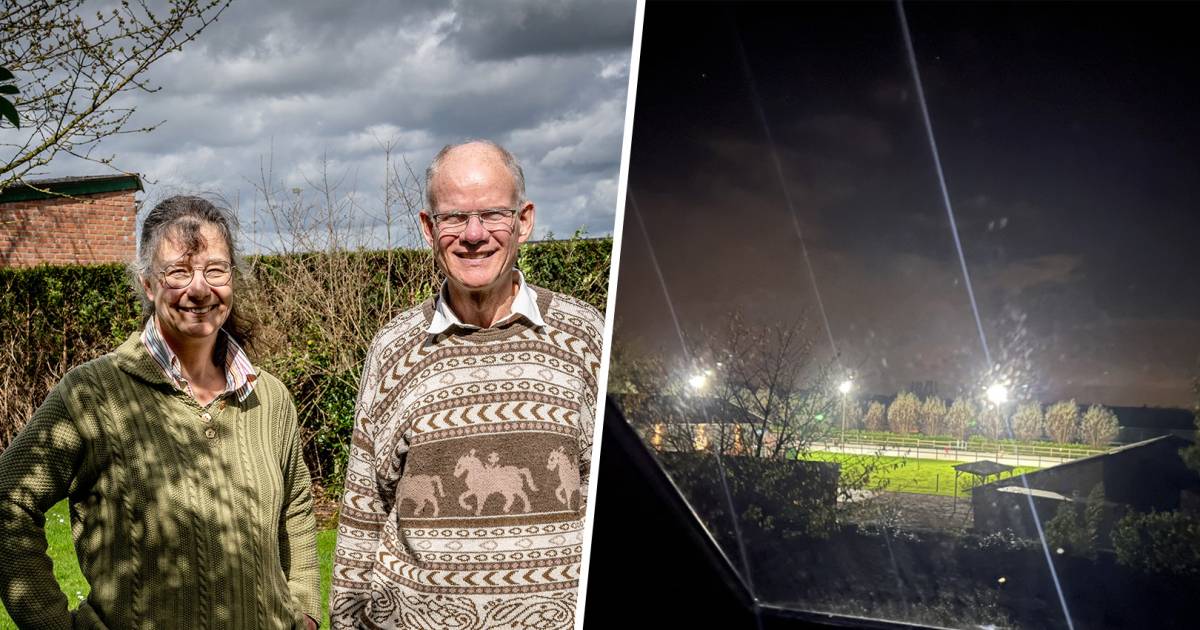 Marcel en Esther zijn het licht van de lampen in de tuin van de buurman zat: ‘Als buren ben je vogel