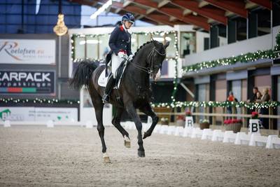 Grootste stamboek gaat alle hengsten testen op dodelijke genafwijking