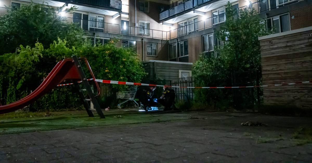 #schietincident  Slachtoffer(s) onbekend  Dader(s) onbekend  #Schietpartij #Rotterdam #ZuidHolland  Wéér een nacht vol schietgeweld: schoten gelost op woningen in Rotterdam én Vlaardingen.