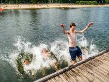 Hoe de Kralingse Plas een blauwalgparadijs werd
