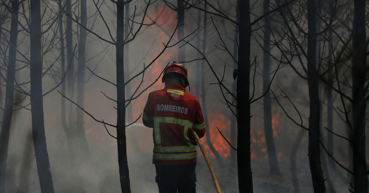 Eén dag na bosbrand in Portugal: "Niets angstaanjagenders dan vuur dat ongecontroleerd rondraast"