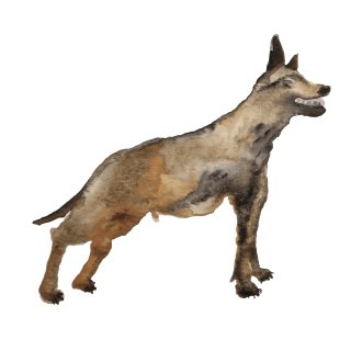 Driver plows into shop display