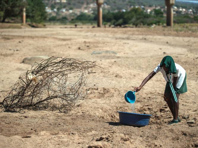 West-Afrika staat op rand van ergste voedselcrisis in decennium, volgens hulporganisaties