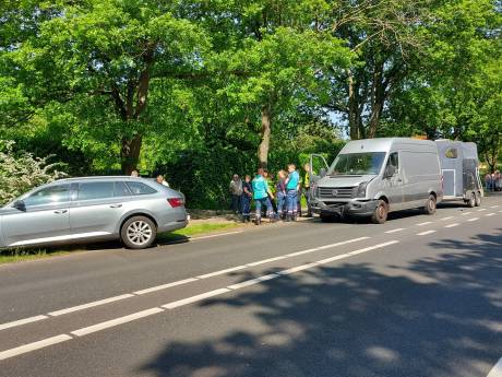 Bus met paardentrailer ziet stilstaande auto over het hoofd en veroorzaakt botsing