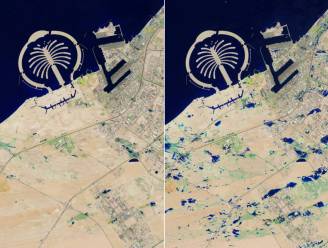 Nasa toont foto's van voor en na zwaarste overstromingen ooit in Dubai 