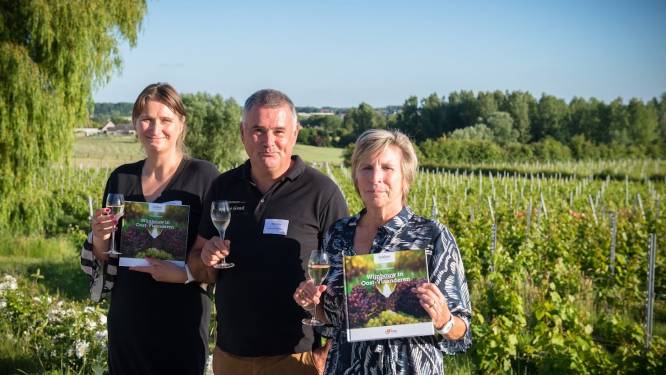 Derde editie van ‘Wijnbouw in Oost-Vlaanderen’ voorgesteld 
