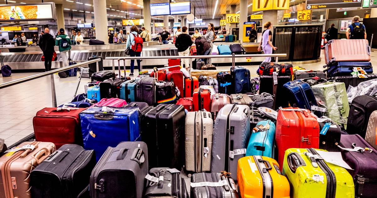 karton optocht Oprichter Honderden kofferclaims door chaos op Schiphol: 'En de meeste aanvragen  moeten nog komen' | Binnenland | AD.nl