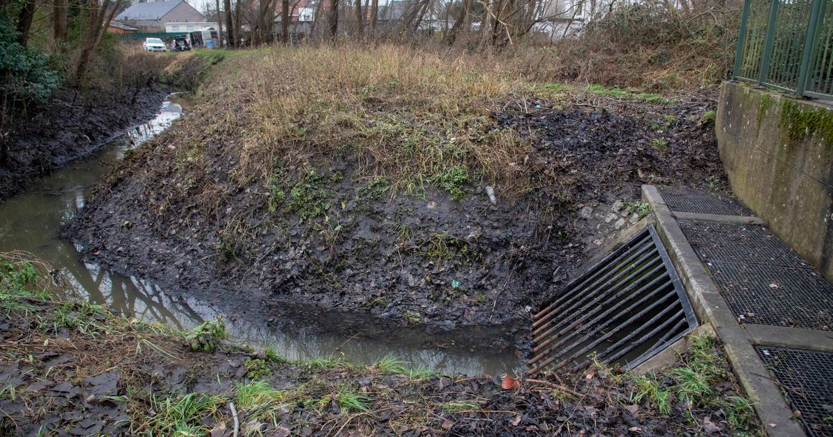 Le ruisseau du Molenbeek pollué aux hydrocarbures à BerchemSainte