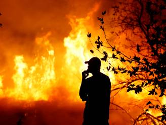 Trump wijt bosbranden in Californië aan 'mismanagement’: “Er moet een oplossing komen of overheidsbetalingen worden stopgezet”