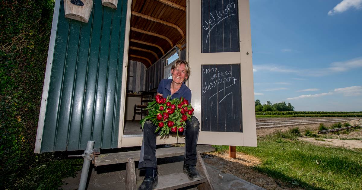 De ‘Pipo-pioenen’ van Hetty uit Opijnen: ‘Ik ga niet lopen goochelen met prijzen’