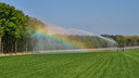 Grasland. Dat is op pachtgrond alleen interessant voor een boer als hij daar een jaar of drie tot vier gebruik van kan maken.
