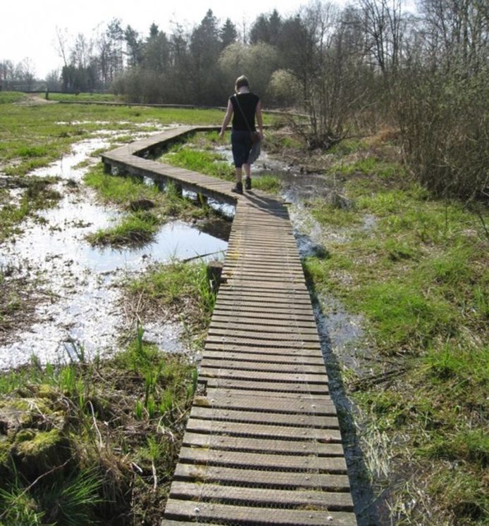 Het Zammelsbroek krijgt onder meer nieuwe knuppelpaden.