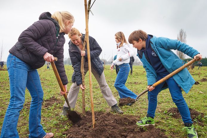 Gedeputeerde Hagar Roijakkers plant een van de eerste bomen in het Bos van Oss aan de Spaanderstraat in Berghem. Ze krijgt hulp van klimaatburgemeester Max Smits en de jeugdwethouders Janne Loeffen en Yfke van Kessel (witte jas).