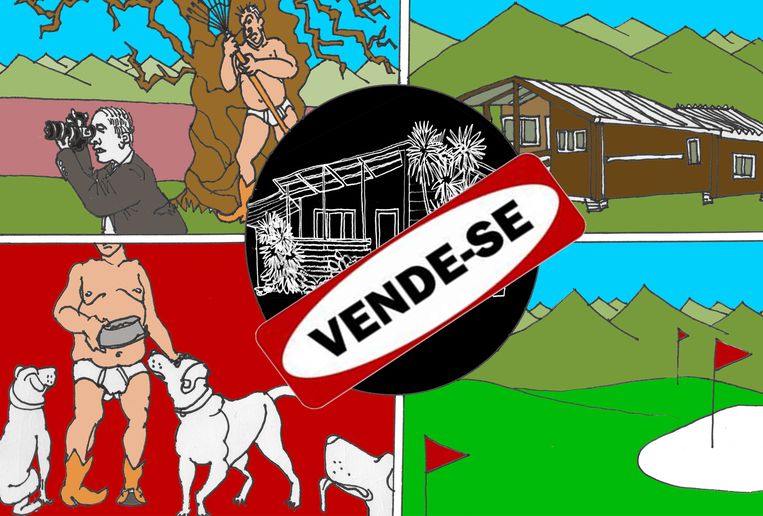 Voor Vier Ton Kan Iemand De Uitgewoonde Villa Van Heleen Van Royen Scoren De Volkskrant