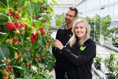 Voor plantenteler Peter telt niet alleen de winst: ‘Ik hou van innovatie en meedenken over hoe we de