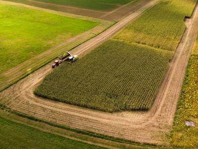 Zo zien de oogstrijpe akkers er vanuit de lucht uit