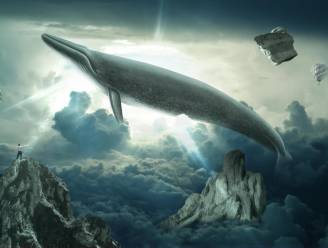 27 dossiers lopend rond dodelijk internetspel Blue Whale Challenge
