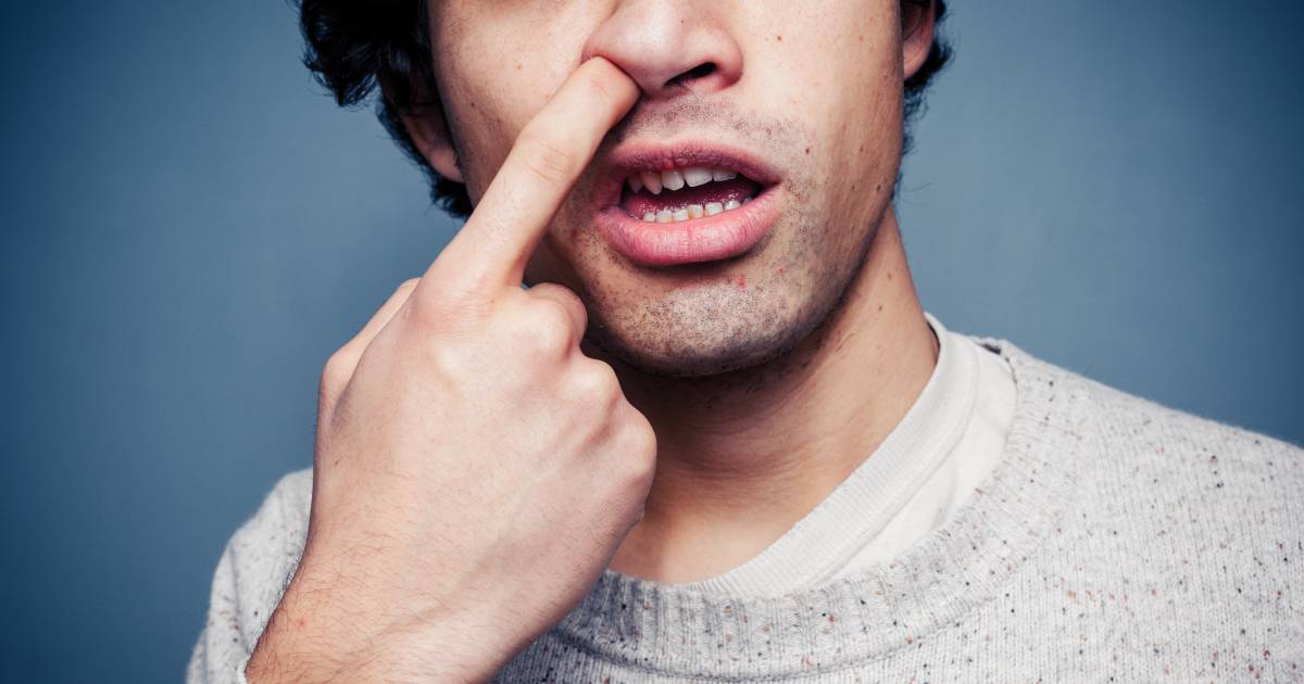 “Perché ci prendiamo il naso?”: ecco alcuni fatti che ti aiuteranno a brillare nella società |  Salute e salute  Benessere