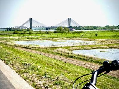 ‘Verliefd’ op Leo Alkemade: Dagen van goud