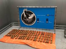 Douane vindt cocaïne in plankjes van pallets met pompoenen