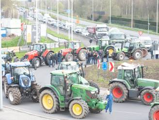 VIDEO. Boze landbouwers blokkeren rotonde op N60 in Leupegem uit protest tegen Mestactieplan 6