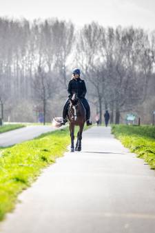 Paardenpoep op fietspaden rond Biesbosch wordt alleen aangepakt bij excessen. ‘Vervuiling valt mee’