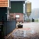 Milieudefensie is woedend: Boeren mogen van de NVWA aangelengde fipronil-mest uitrijden