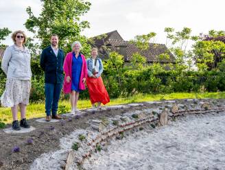 Bij-aardige stad neemt deel aan Week van de Bij: bijenburcht krijgt vorm op speelplaats Donck