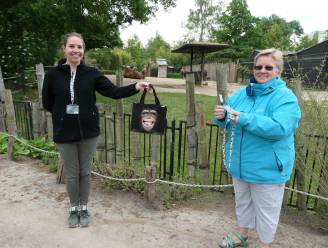 Babygorilla staat symbool voor steunactie voor Zoo Antwerpen en Planckendael: “Vanuit ons groot hart voor de dieren!”
