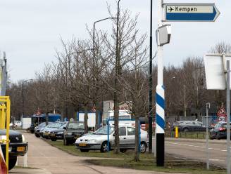 35 paardenkastanjes aan Randweg-Zuid in Budel leggen het loodje; ook de bijl in 12 lindes in Schoot