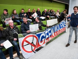 Windmolens komen in Reijerscop: ‘Dit is geen kiezersbedrog maar verraad aan de kiezers’