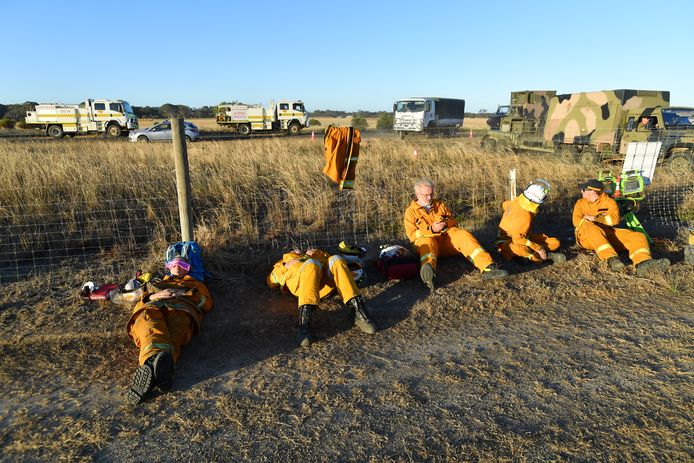 Deze vrijwillige brandweermannen genieten op Kangaroo Island even van een welverdiende pauze. Buureiland Nieuw-Zeeland stuurt nog extra brandweerlieden naar Australië om te helpen blussen, maar moest intussen zelf een bosbrand bedwingen.