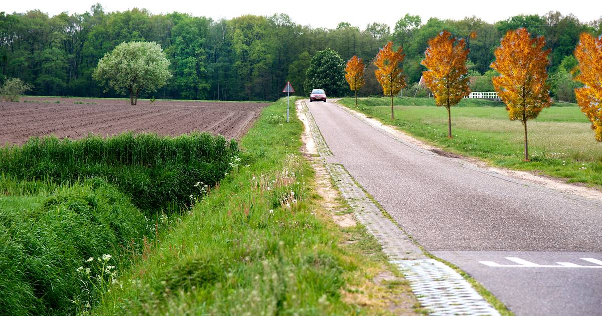 Project Leefbaar Landschap: ‘Rietmolen is groen gewoon zoveel mooier!’