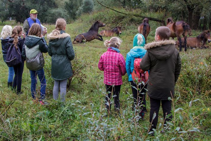 IVN natuurgids Rob Puijker met een aantal kinderen uit Boven-Leeuwen in de uiterwaarden.