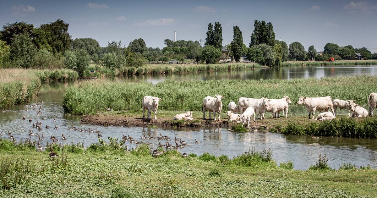 Grondwaterstand in delen van Nederland lager dan ooit waterschappen