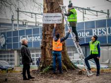 De Bomenridders stappen wéér naar Raad van State, nu tegen verhuizing van de bomen op Centraal