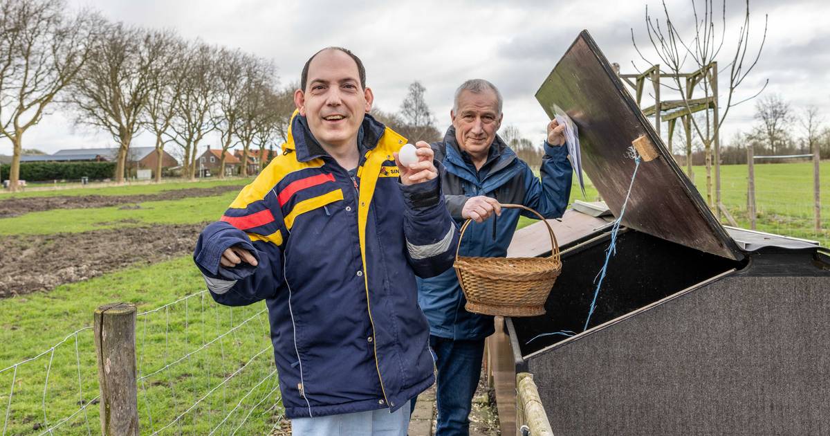 Aan de slag op sprookjesachtige zorgboerderij: ‘Rosalie is dol op kippenvoer, maar dat mag ze niet’